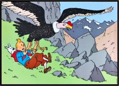 Tintin Poster - The Condor