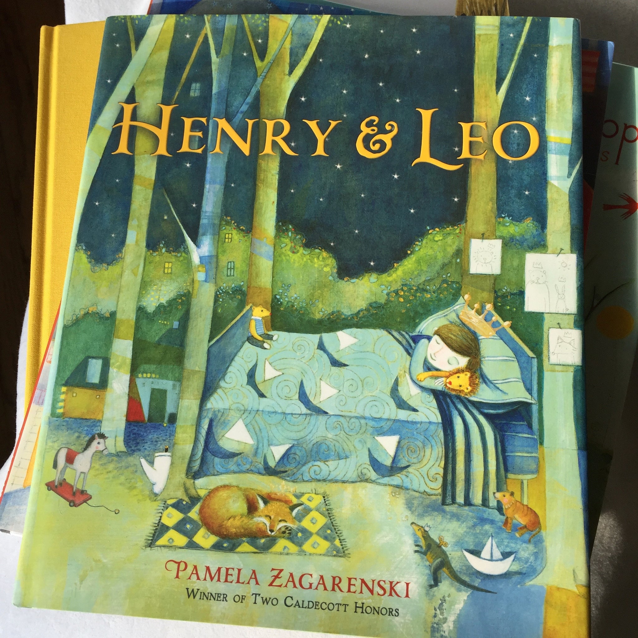 Henry & Leo Children's Book