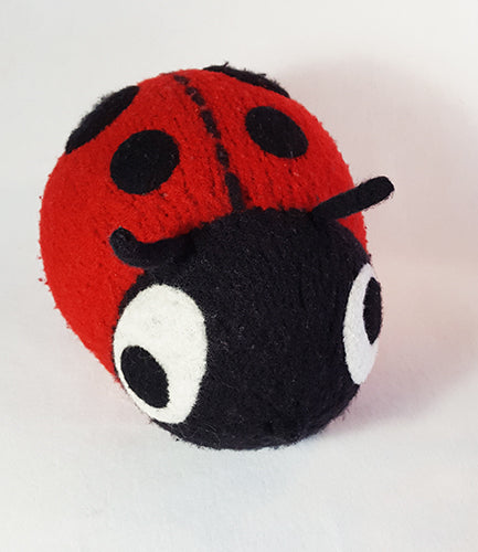 Ladybug - Snooter Doots
